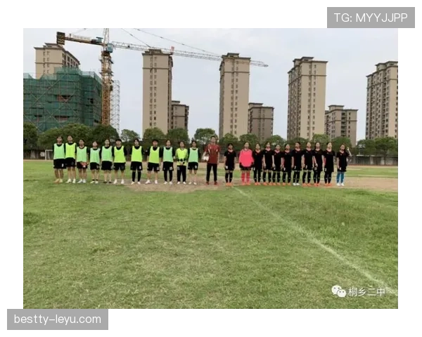 威尔士国家队红龙军团再创佳绩，激情点燃绿茵赛场