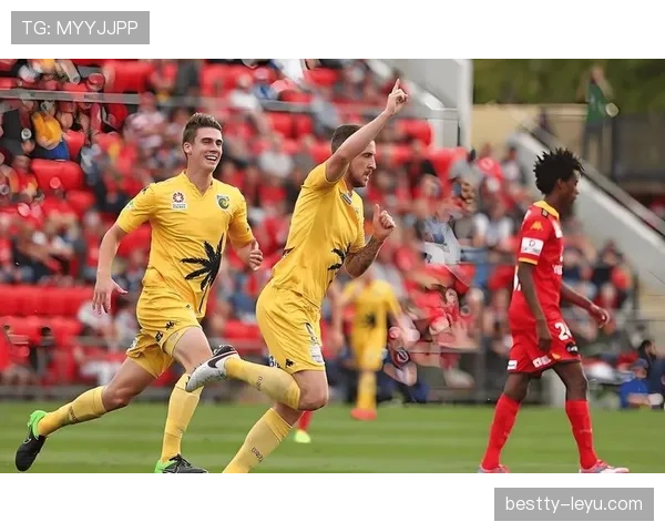 塞尔塔阵容深度解析：新赛季表现稳健，能否挑战更高目标引发关注。