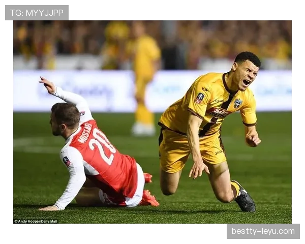 观众冲入球场干扰比赛,裁判为何能直接判负? 观众冲入球场干扰比赛,裁判为何能直接判负?